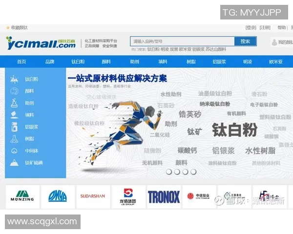 上海羽毛球队的转型之路：深度解析与未来展望