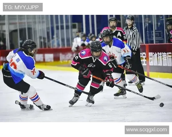 北京羽毛球队在锦标赛中的速度表现分析与点评 北京羽毛球队在锦标赛中的速度表现分析与点评