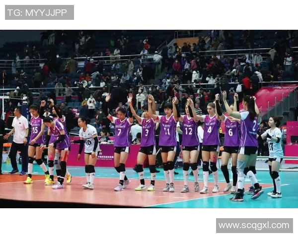 排球状态排行榜更新北京排球队荣登第六名展现强劲实力