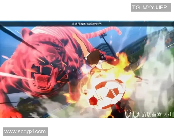 足球明星评估软件免费下载与使用指南全面解析