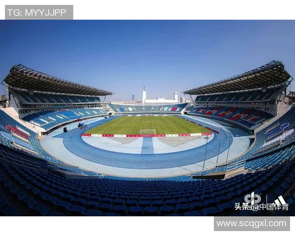 提升城市体育设施建设助力青少年足球场地发展与普及