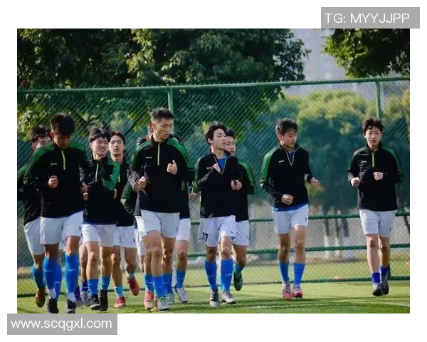 成都足球队的战术意识与团队协作探讨解析