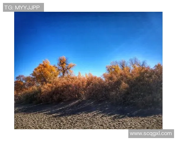 李欣宸足球之路：从青涩少年到职业球员的成长历程与梦想追逐