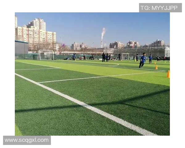 无题足球：在绿茵场上追寻梦想与激情的无限可能