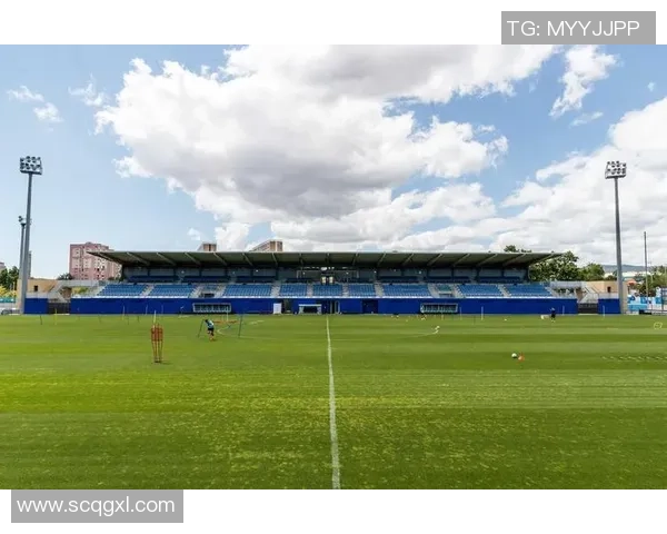 肺炎疫情影响下杭州足球的发展现状与未来展望分析