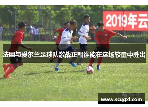 法国与爱尔兰足球队激战正酣谁能在这场较量中胜出